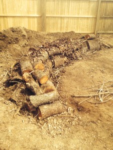 Placing the logs...