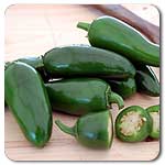 A classic. Which, I'm glad it's a classic and everyone likes them because I grew two plants and had enough jalapenos to bring 50 stuffed to a party, and supply me and two other households with an unending supply of them, and I still had some going bad on the counter. Also these are those "producing til December" kinds of peppers.