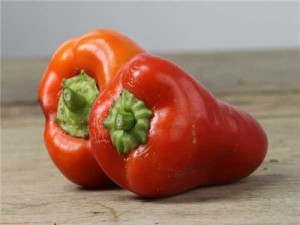 A small pepper, for those of you who want something sweet but maybe find yourself wasting a lot of peppers. These are also good grown in pots as the plants stay a pretty manageable size.