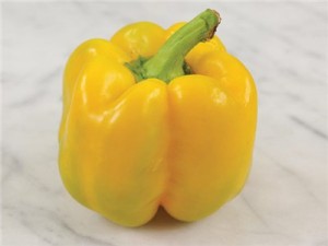 These are the other peppers my kids always want to eat. These ones almost never make it into the house. Also edible in the green stage.