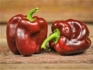 Chocolate? That's the only reason I bought this pepper. That and the red coming off in this photo is supreme. I haven't tasted these yet, But I would bet they'll be one of my favorites this year.