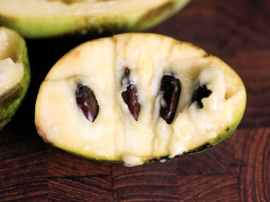 The inside of a PawPaw fruit.