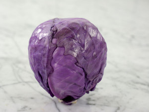 Another favorite cabbage with deep red leaves and small core.  Good for fresh eating and for coleslaw. 