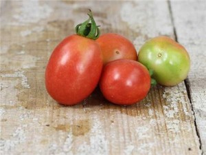 German-Lunchbox-Tomato-web