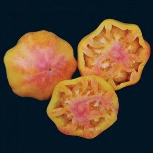 Mary Robinson's BiColor Tomato:  This large slicing tomato is more red than what's pictured, with striking yellow and pink tones throughout. 